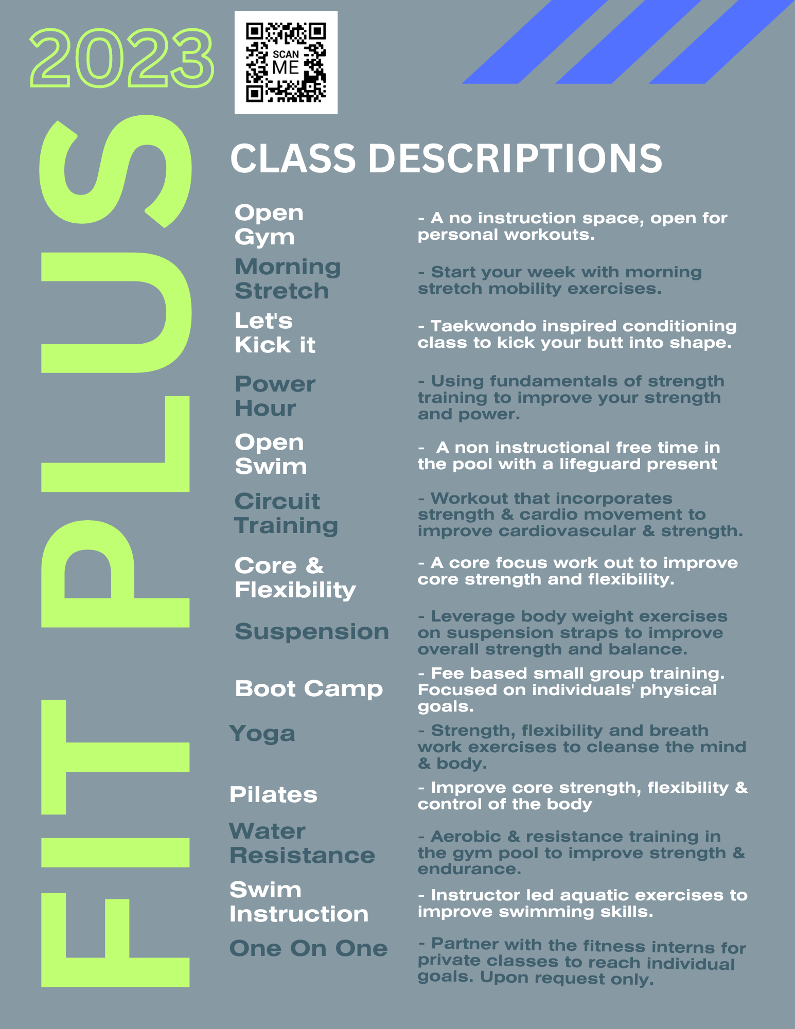 FIT PLUS description flyer 