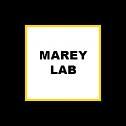 MAREY Lab graphic