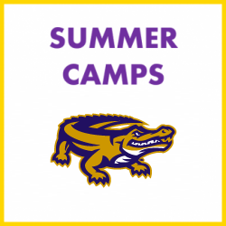Gator Summer Camps graphic with gator